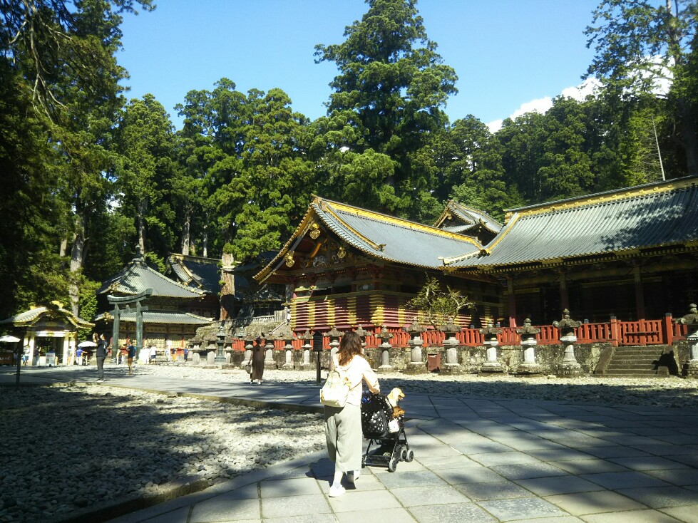 f:id:hirotaka72:20200829091911j:plain f:id:hirotaka72:20200829091911j:plain