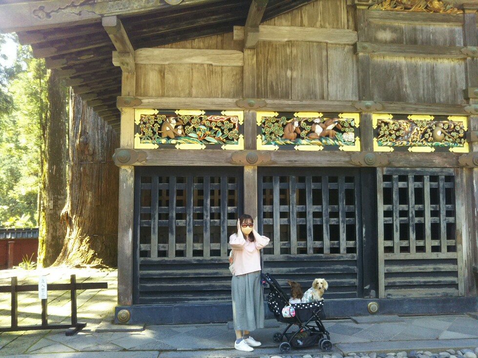 f:id:hirotaka72:20200829092009j:plain f:id:hirotaka72:20200829092009j:plain