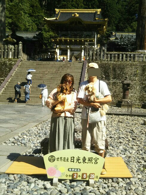 f:id:hirotaka72:20200829092243j:plain f:id:hirotaka72:20200829092243j:plain