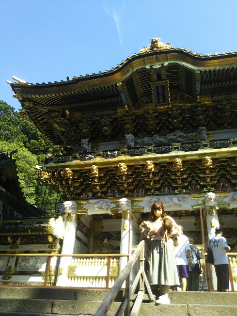 f:id:hirotaka72:20200829092654j:plain f:id:hirotaka72:20200829092654j:plain