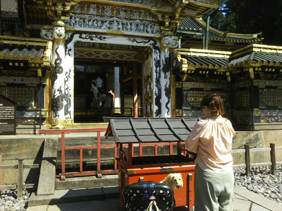 f:id:hirotaka72:20200829095156j:plain f:id:hirotaka72:20200829095156j:plain