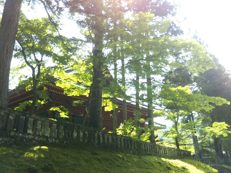 f:id:hirotaka72:20200829103122j:plain f:id:hirotaka72:20200829103122j:plain