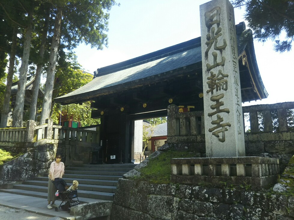 f:id:hirotaka72:20200829103831j:plain f:id:hirotaka72:20200829103831j:plain