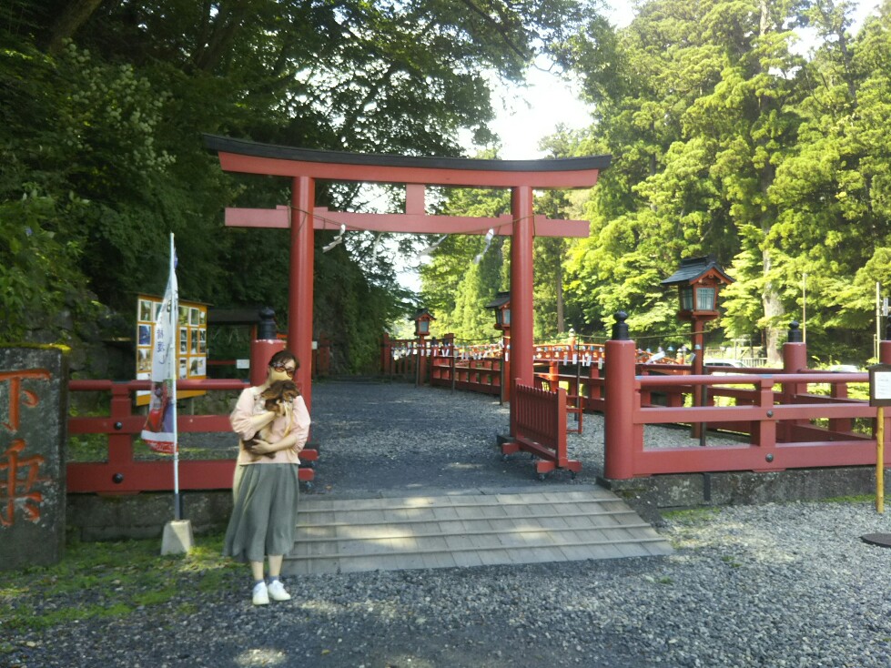 f:id:hirotaka72:20200829105845j:plain f:id:hirotaka72:20200829105845j:plain