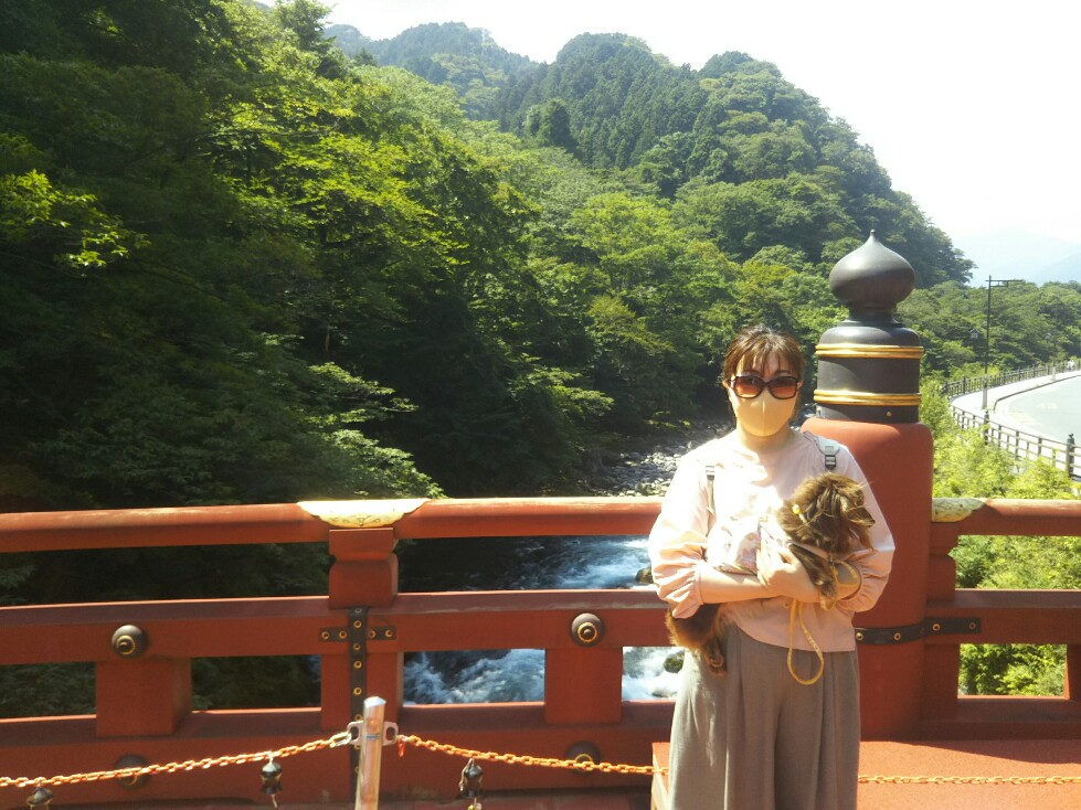 f:id:hirotaka72:20200829110254j:plain f:id:hirotaka72:20200829110254j:plain