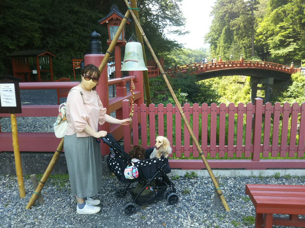 f:id:hirotaka72:20200829110855j:plain f:id:hirotaka72:20200829110855j:plain