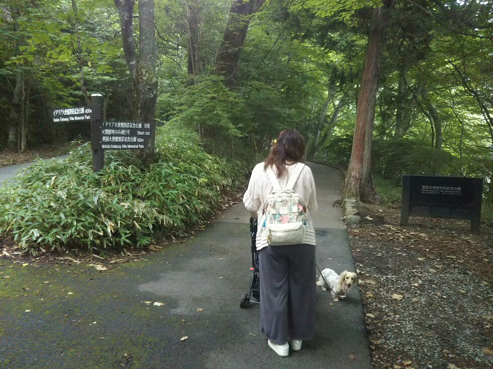 f:id:hirotaka72:20200829161305j:plain f:id:hirotaka72:20200829161305j:plain