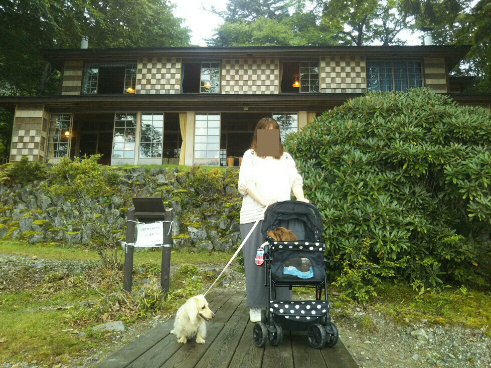 f:id:hirotaka72:20200829162359j:plain f:id:hirotaka72:20200829162359j:plain