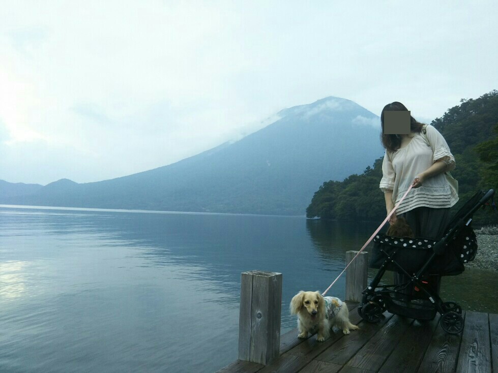 f:id:hirotaka72:20200829162541j:plain f:id:hirotaka72:20200829162541j:plain