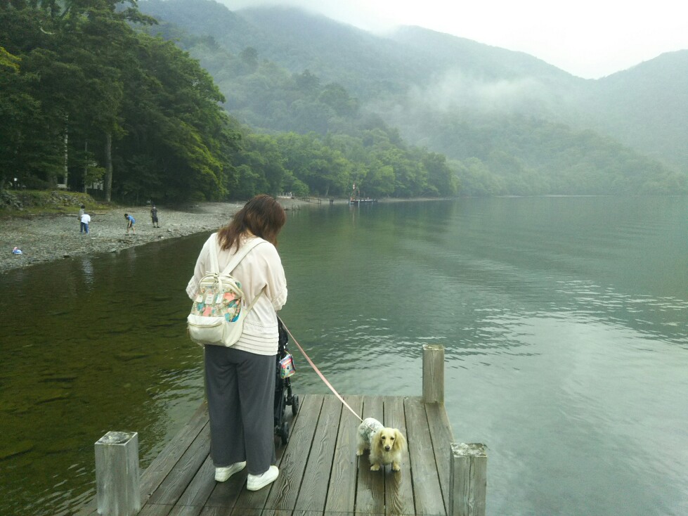 f:id:hirotaka72:20200829162650j:plain f:id:hirotaka72:20200829162650j:plain