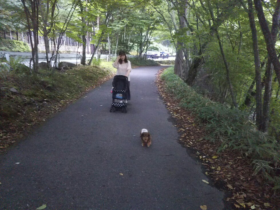 f:id:hirotaka72:20200829165142j:plain f:id:hirotaka72:20200829165142j:plain