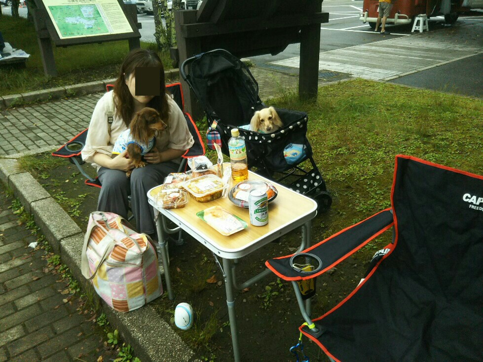 f:id:hirotaka72:20200829174412j:plain f:id:hirotaka72:20200829174412j:plain