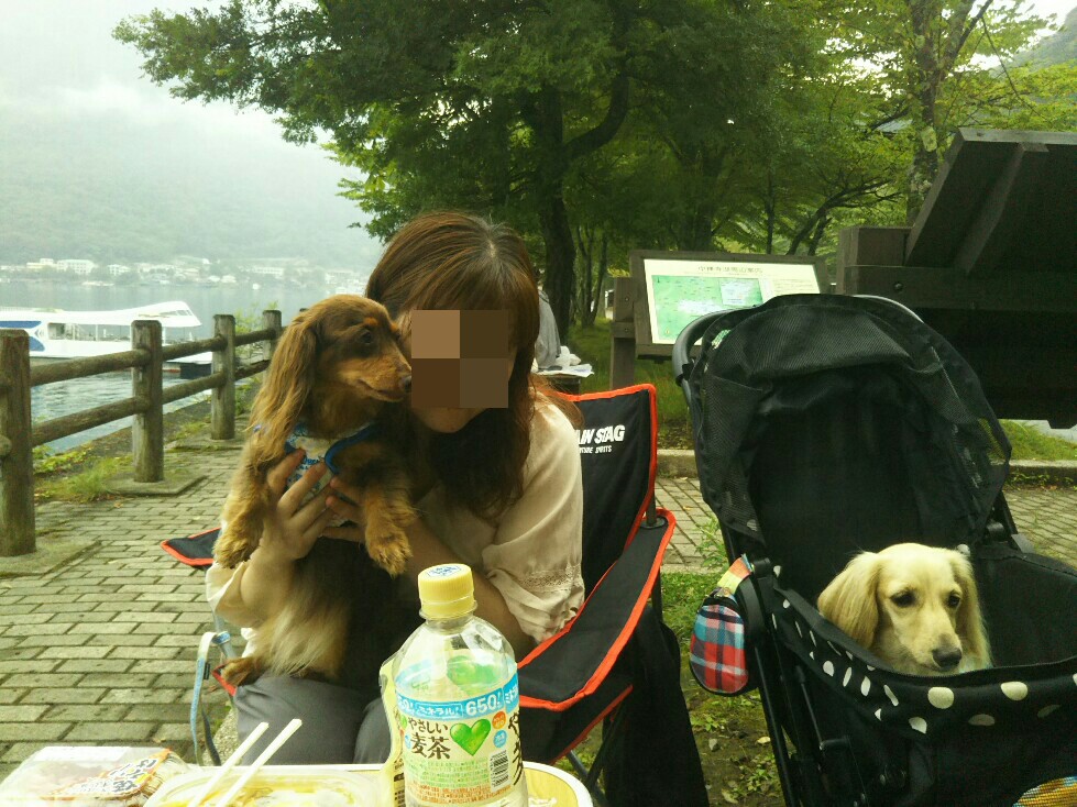 f:id:hirotaka72:20200829174946j:plain f:id:hirotaka72:20200829174946j:plain
