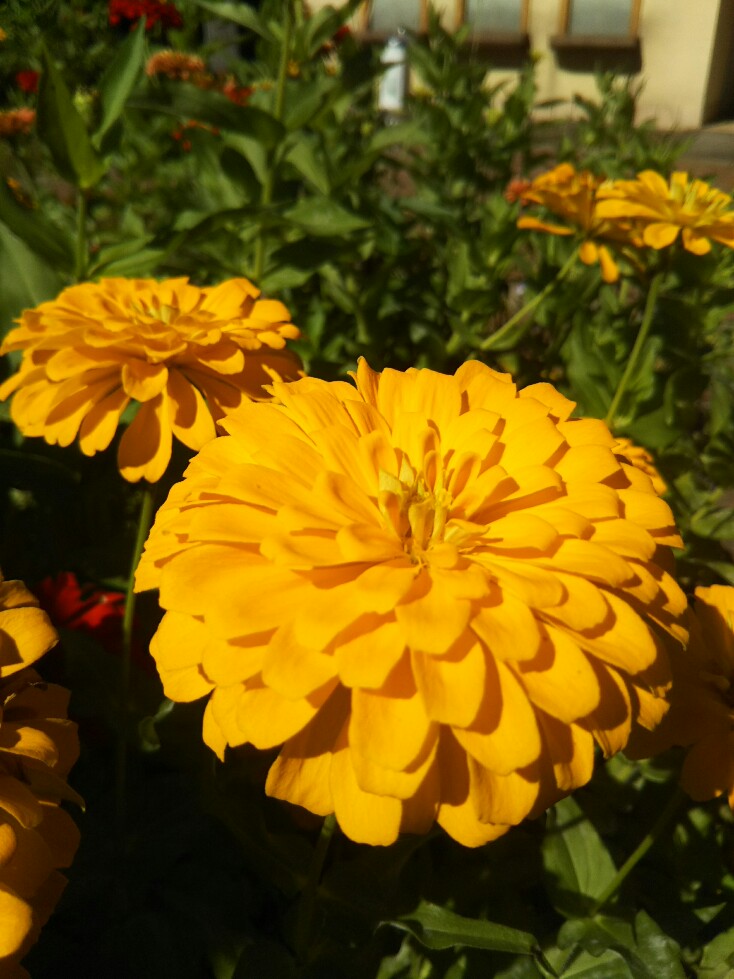 f:id:hirotaka72:20200913090943j:plain f:id:hirotaka72:20200913090943j:plain