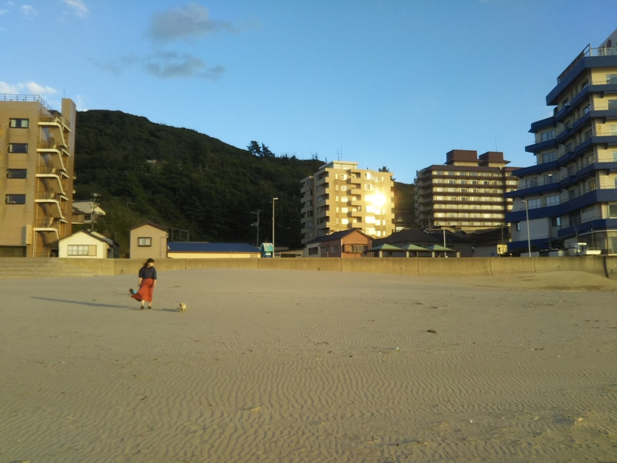 f:id:hirotaka72:20200919165351j:plain f:id:hirotaka72:20200919165351j:plain