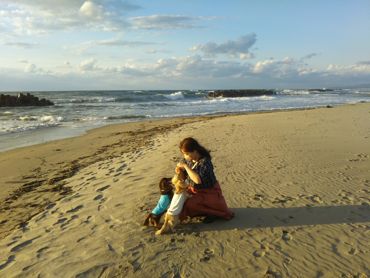 f:id:hirotaka72:20200919165752j:plain f:id:hirotaka72:20200919165752j:plain