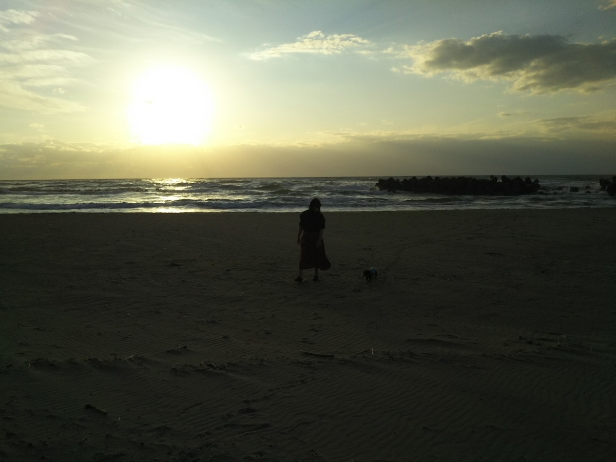 f:id:hirotaka72:20200919170148j:plain f:id:hirotaka72:20200919170148j:plain