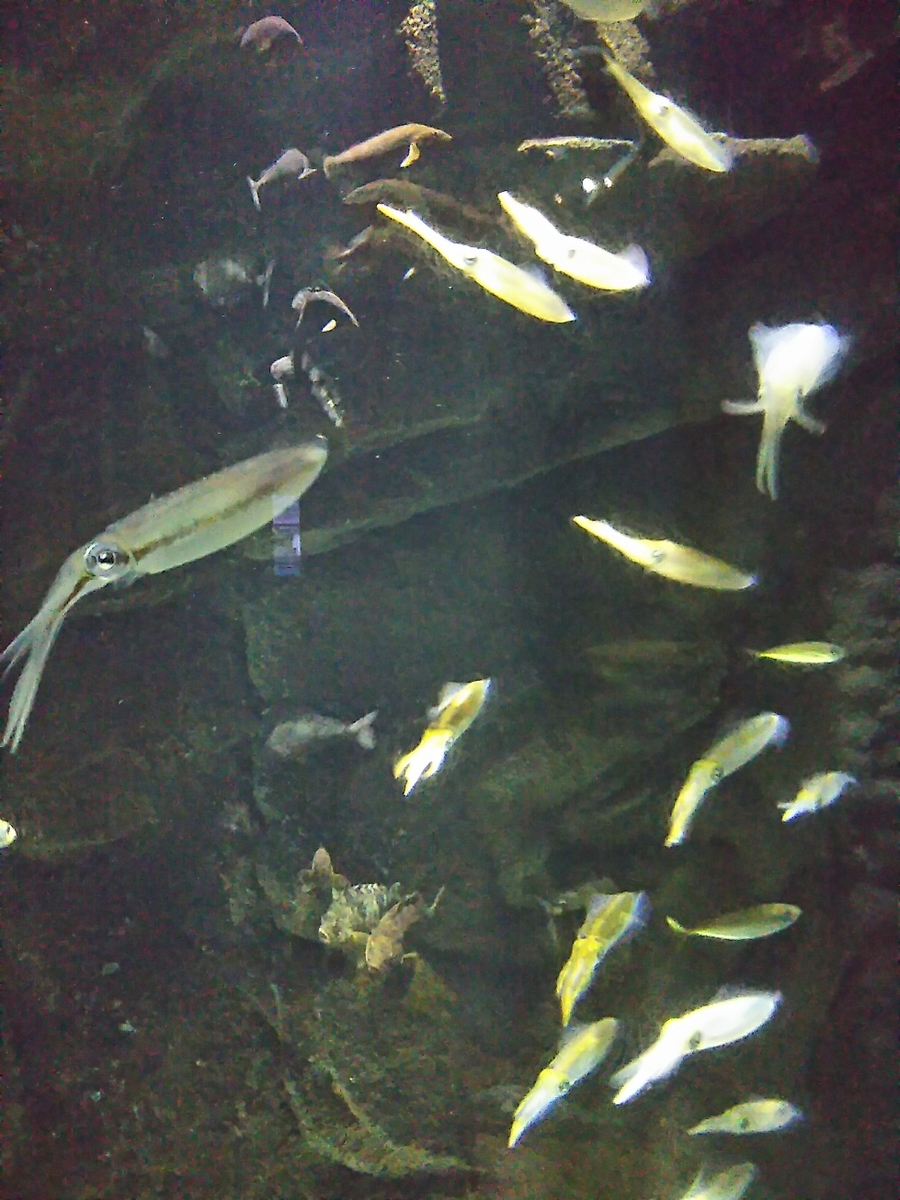 f:id:hirotaka72:20200920092729j:plain f:id:hirotaka72:20200920092729j:plain