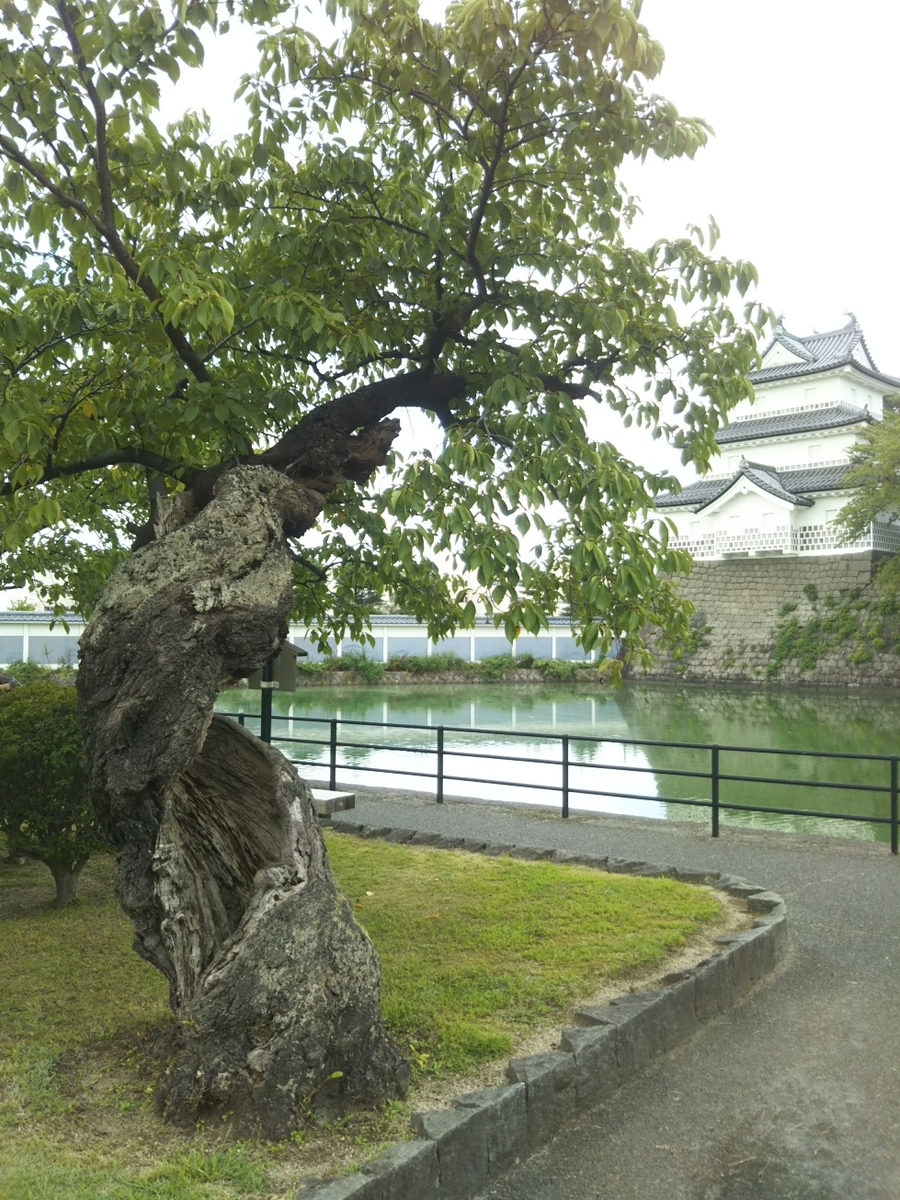 f:id:hirotaka72:20200920152931j:plain f:id:hirotaka72:20200920152931j:plain