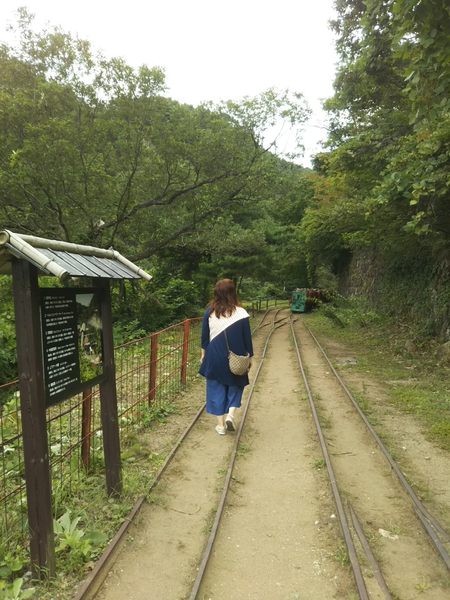 f:id:hirotaka72:20200922100024j:plain f:id:hirotaka72:20200922100024j:plain