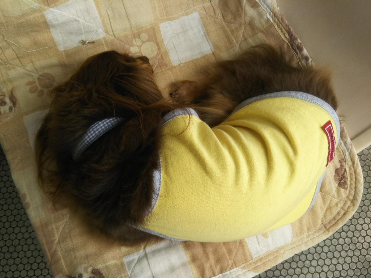 f:id:hirotaka72:20200922132751j:plain f:id:hirotaka72:20200922132751j:plain