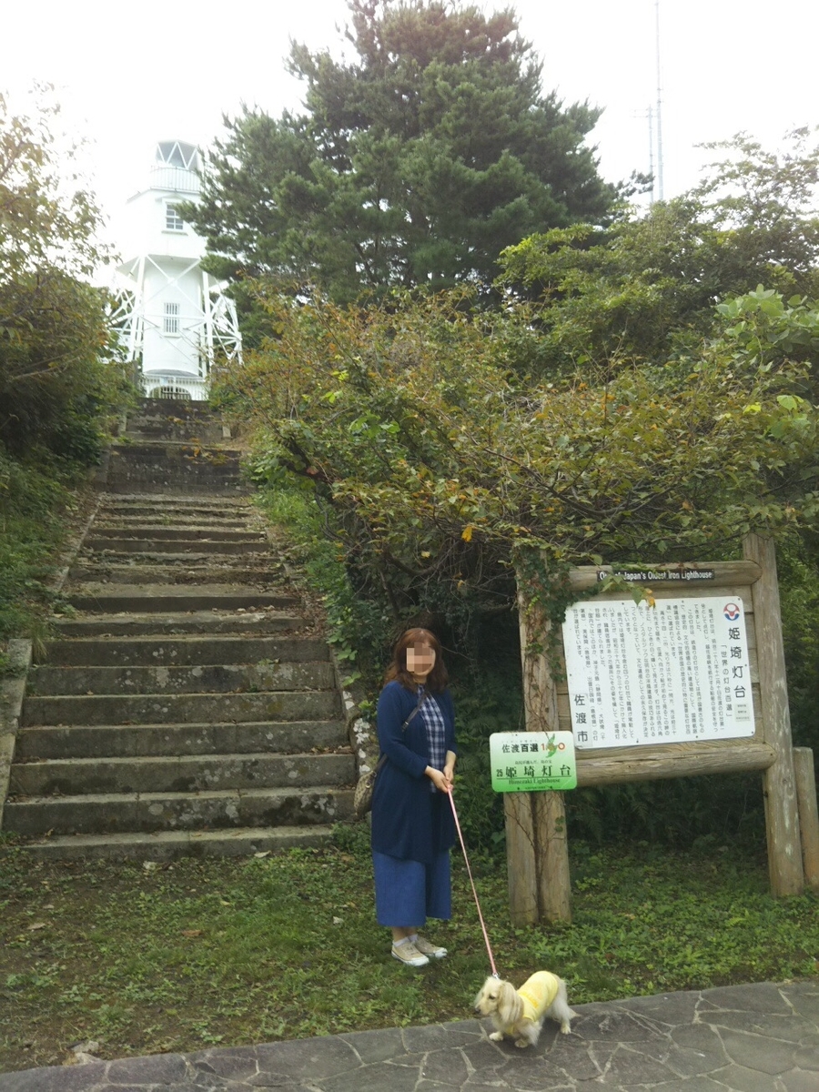 f:id:hirotaka72:20200924202214j:plain f:id:hirotaka72:20200924202214j:plain
