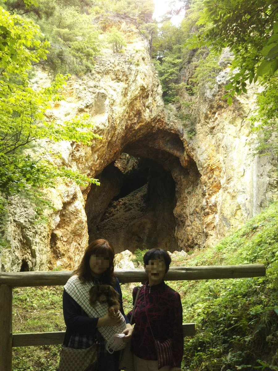 f:id:hirotaka72:20200924203058j:plain f:id:hirotaka72:20200924203058j:plain