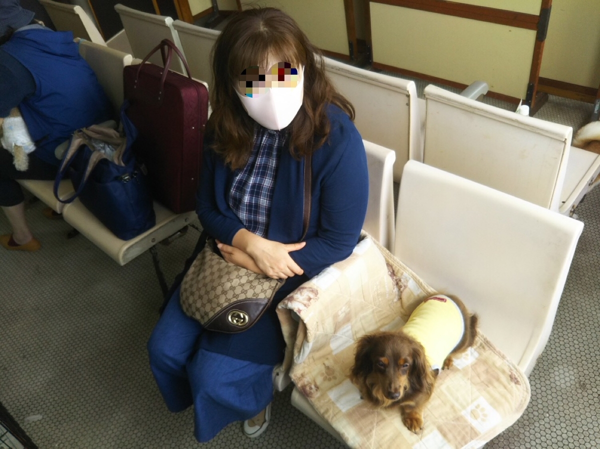 f:id:hirotaka72:20200924204226j:plain f:id:hirotaka72:20200924204226j:plain