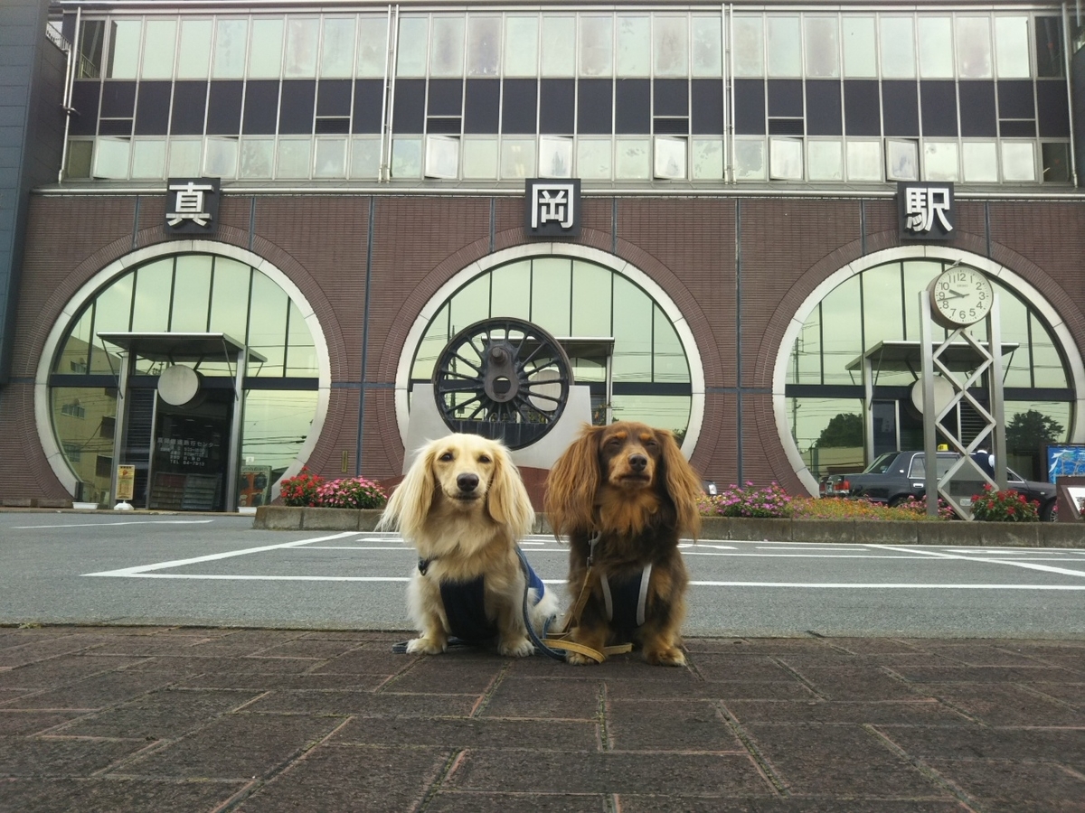 f:id:hirotaka72:20201004094056j:plain f:id:hirotaka72:20201004094056j:plain