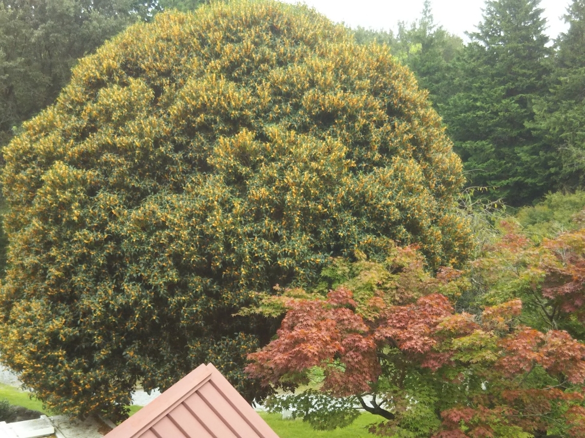 f:id:hirotaka72:20201004145117j:plain f:id:hirotaka72:20201004145117j:plain