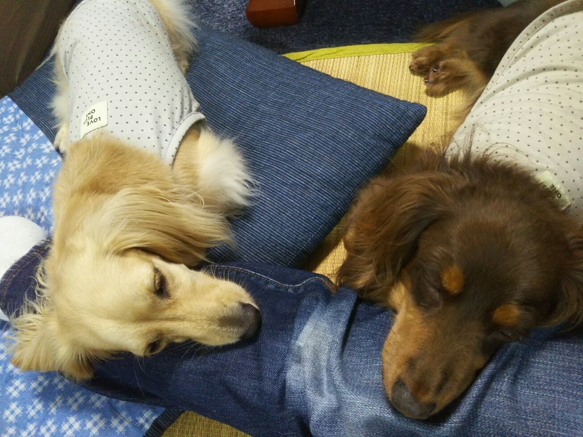 f:id:hirotaka72:20201010121346j:plain