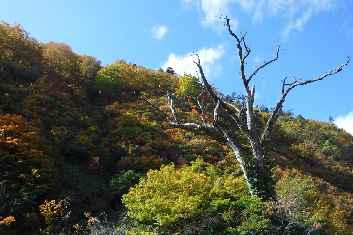 f:id:hirotaka72:20201025145538j:plain f:id:hirotaka72:20201025145538j:plain