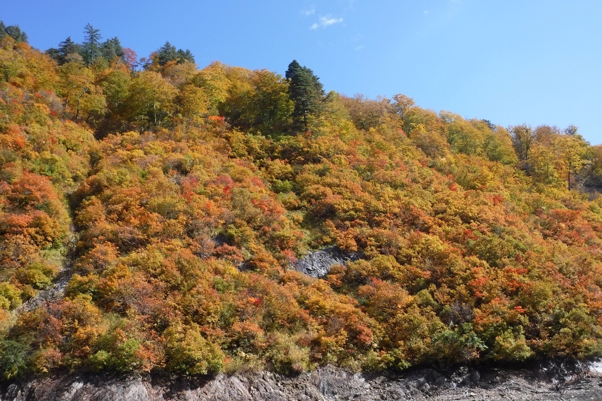 f:id:hirotaka72:20201025150028j:plain f:id:hirotaka72:20201025150028j:plain