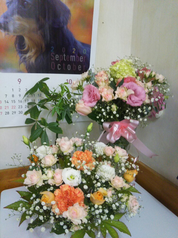 f:id:hirotaka72:20201025174007j:plain
