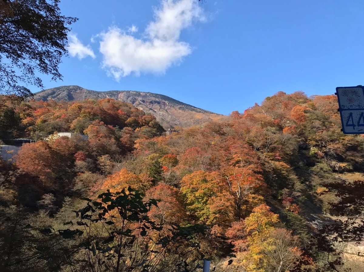 f:id:hirotaka72:20201103211750j:plain f:id:hirotaka72:20201103211750j:plain
