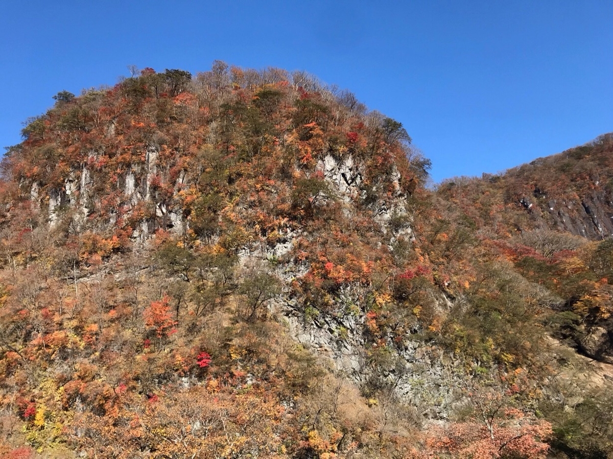 f:id:hirotaka72:20201103212311j:plain f:id:hirotaka72:20201103212311j:plain