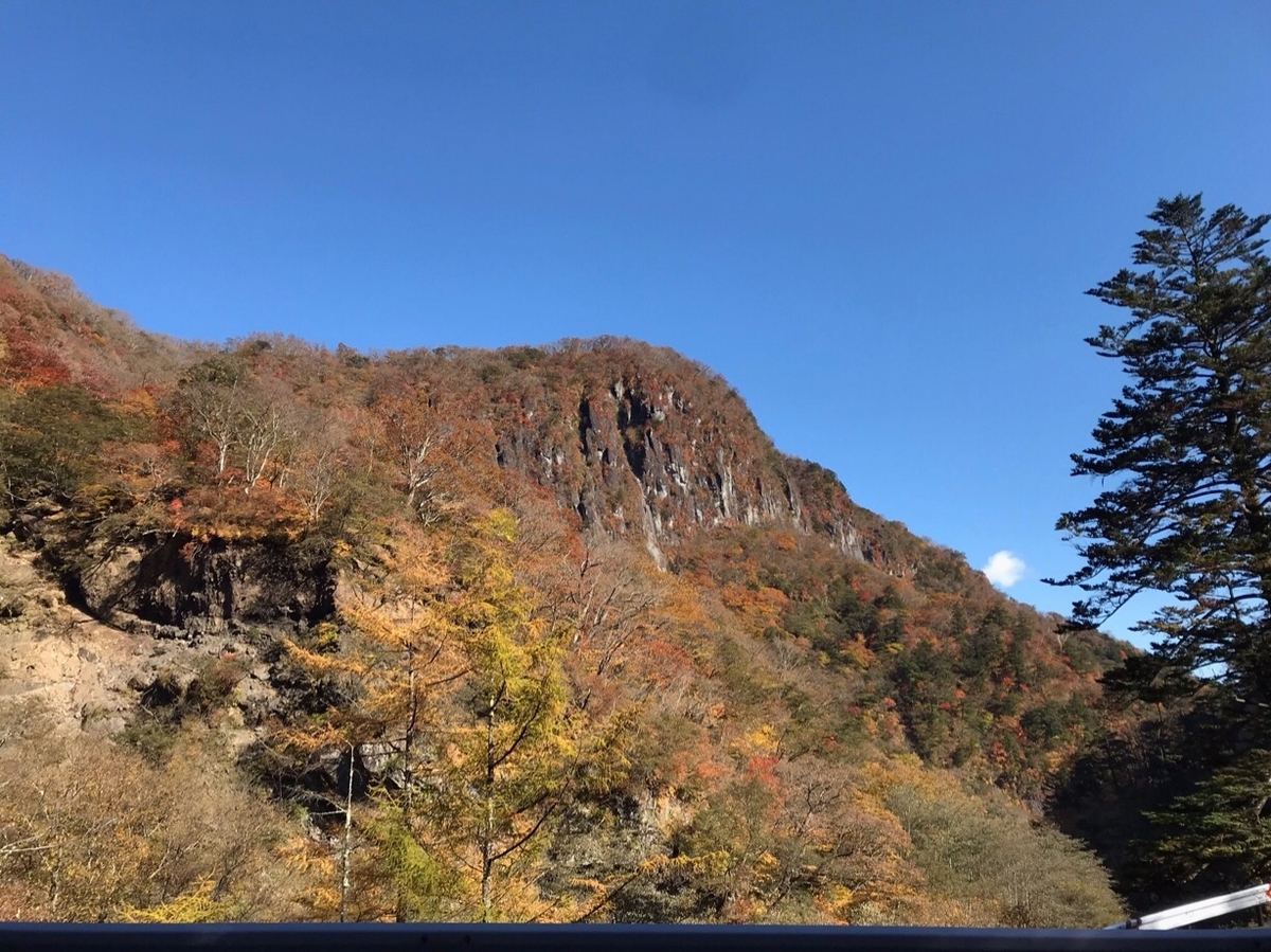 f:id:hirotaka72:20201103212639j:plain f:id:hirotaka72:20201103212639j:plain