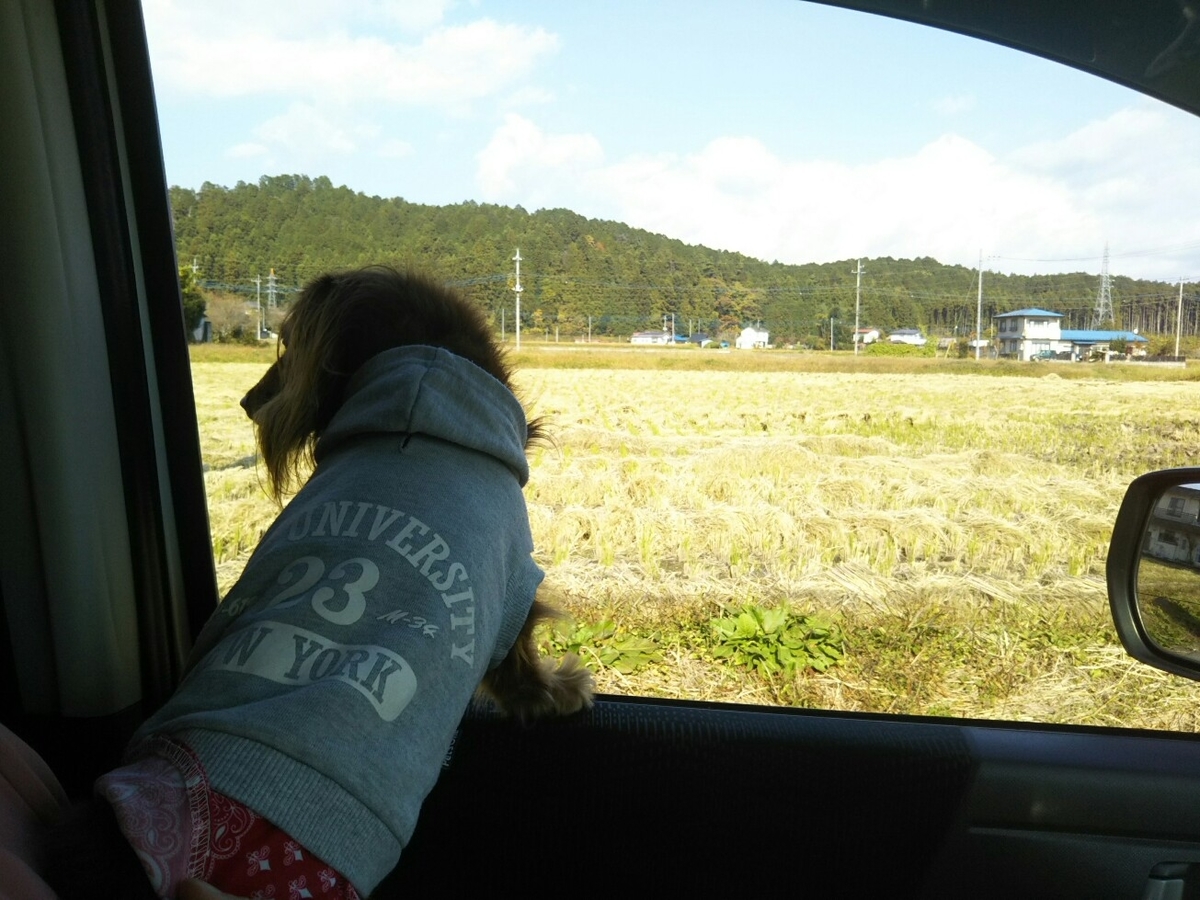f:id:hirotaka72:20201108123004j:plain f:id:hirotaka72:20201108123004j:plain