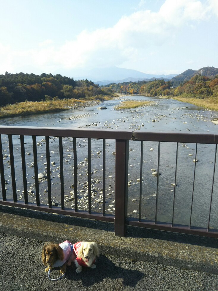 f:id:hirotaka72:20201108123750j:plain f:id:hirotaka72:20201108123750j:plain
