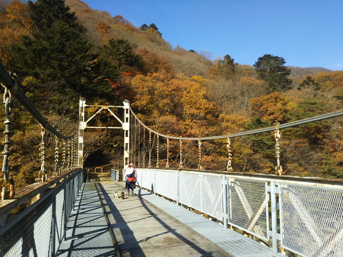 f:id:hirotaka72:20201115103931j:plain