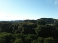 20201220090521