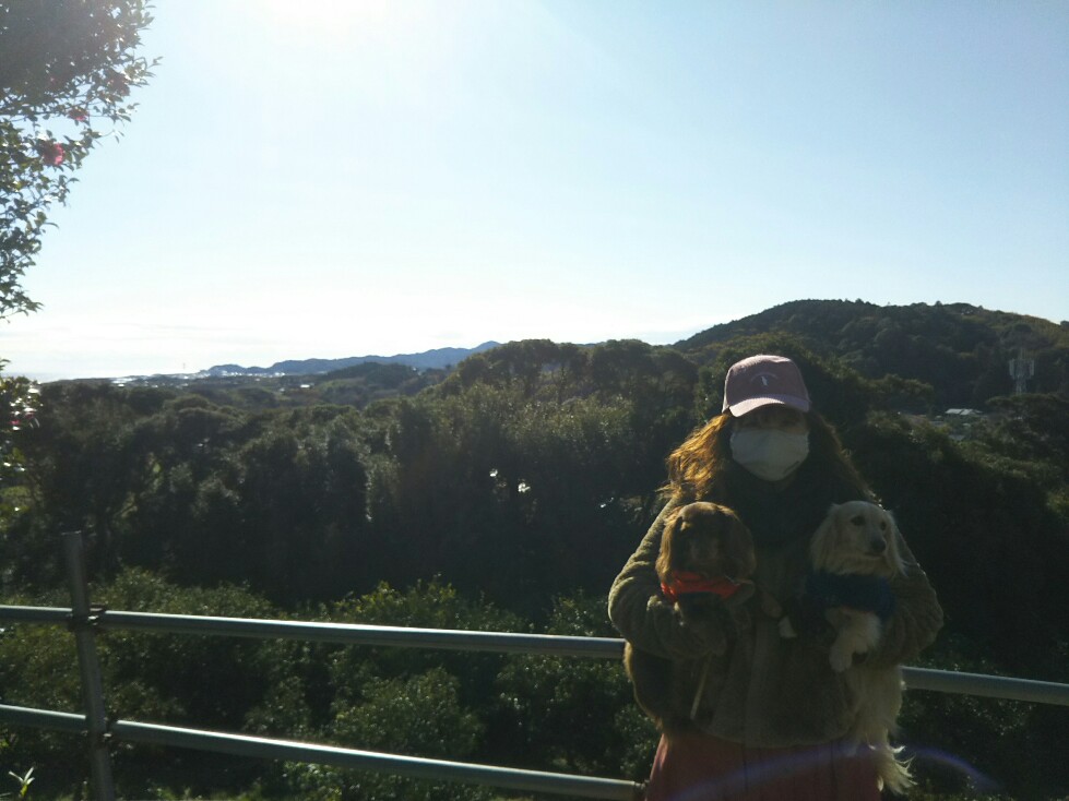 f:id:hirotaka72:20201220114501j:plain