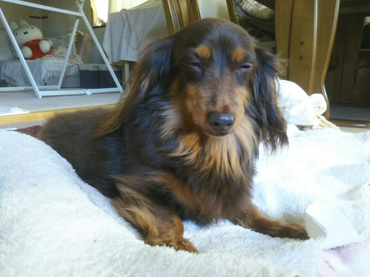 f:id:hirotaka72:20201231111440j:plain