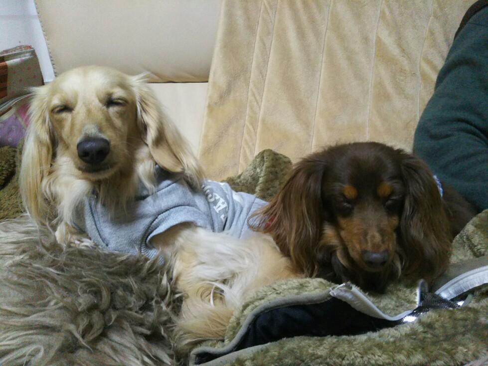 f:id:hirotaka72:20201231211617j:plain