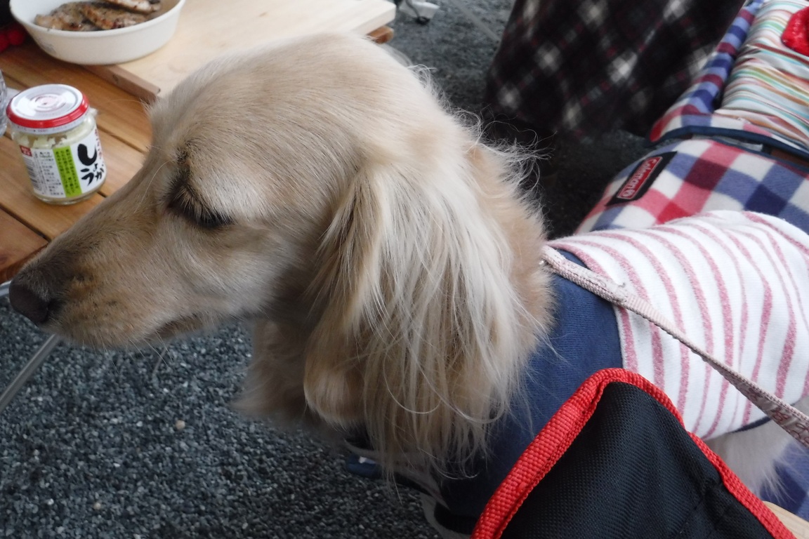f:id:hirotaka72:20210111090019j:plain