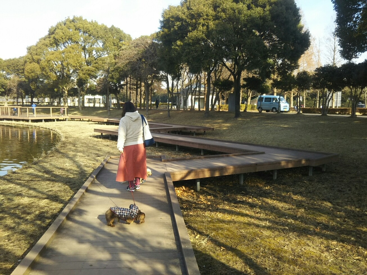 f:id:hirotaka72:20210116101523j:plain