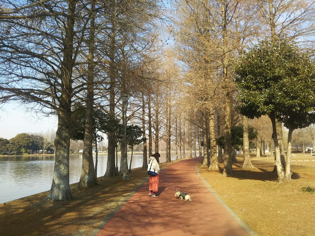f:id:hirotaka72:20210116102207j:plain