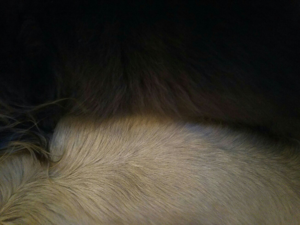 f:id:hirotaka72:20210211063651j:plain