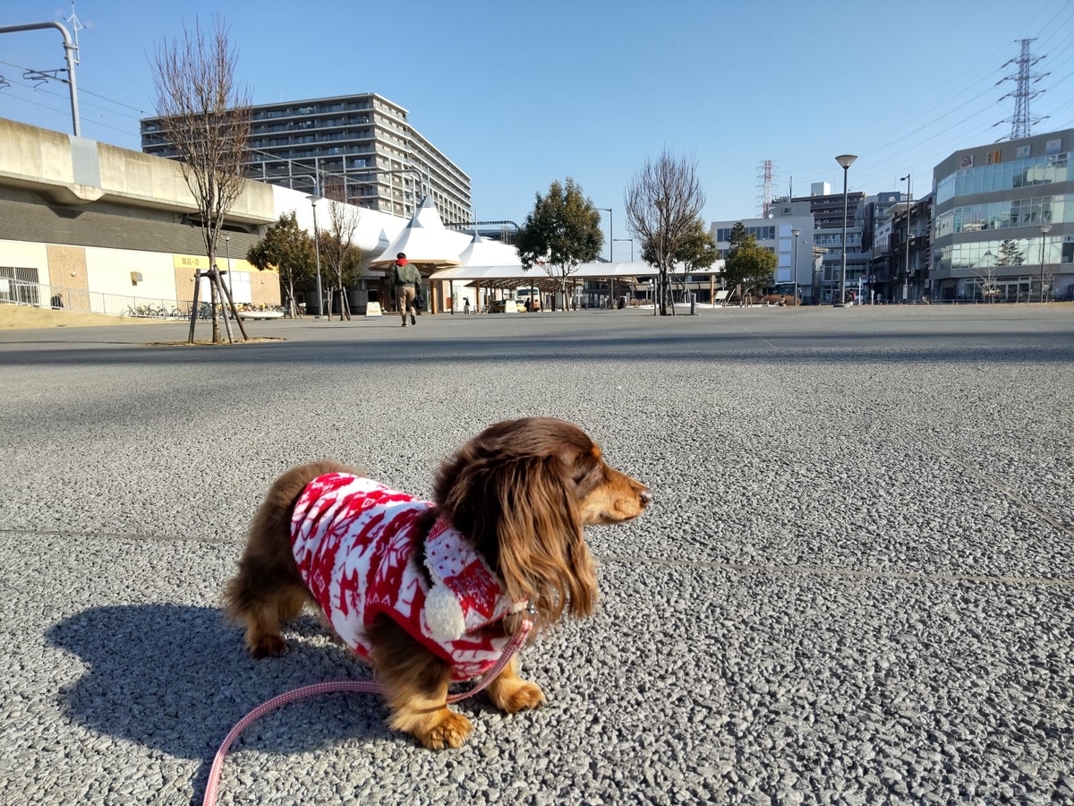 f:id:hirotaka72:20210213105446j:plain