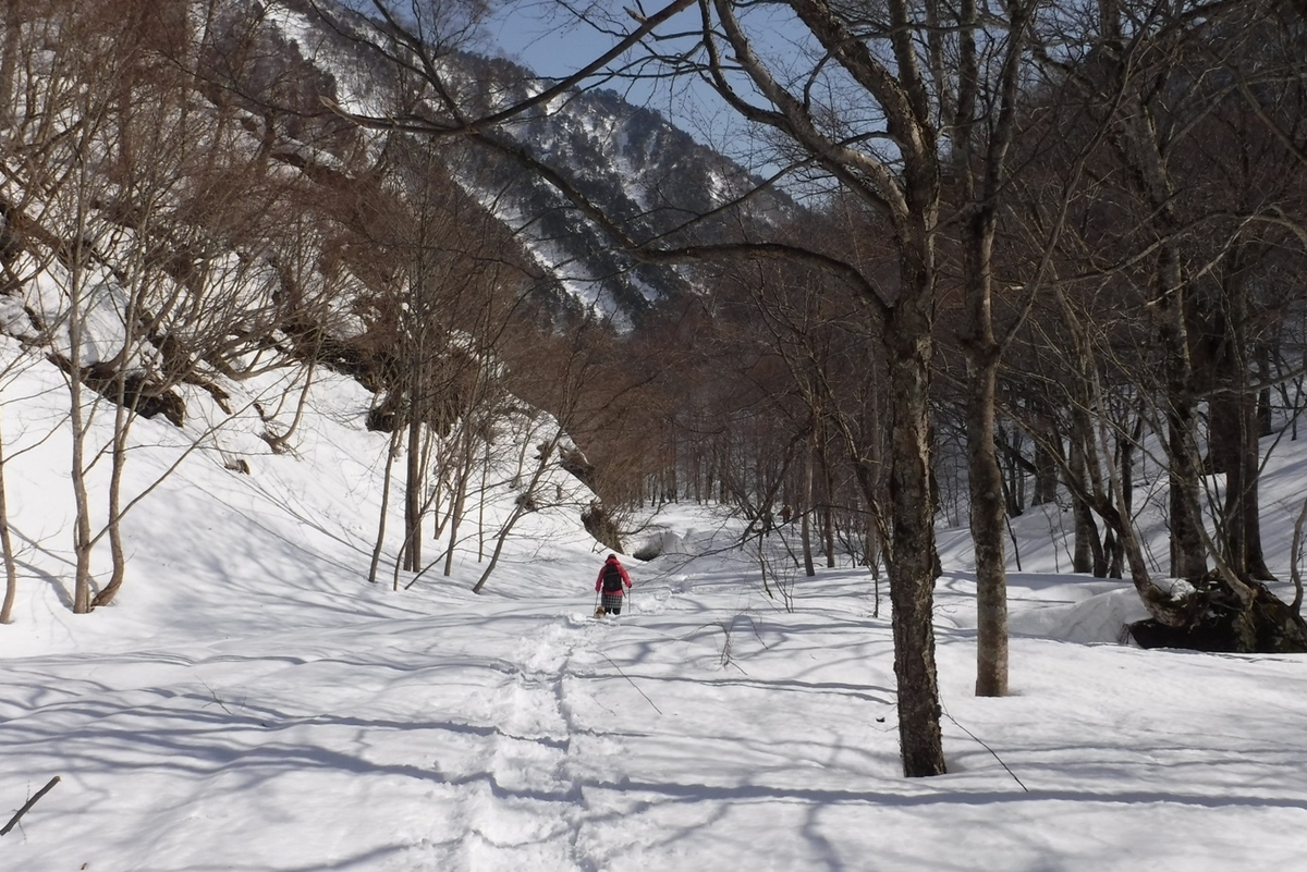f:id:hirotaka72:20210221113658j:plain